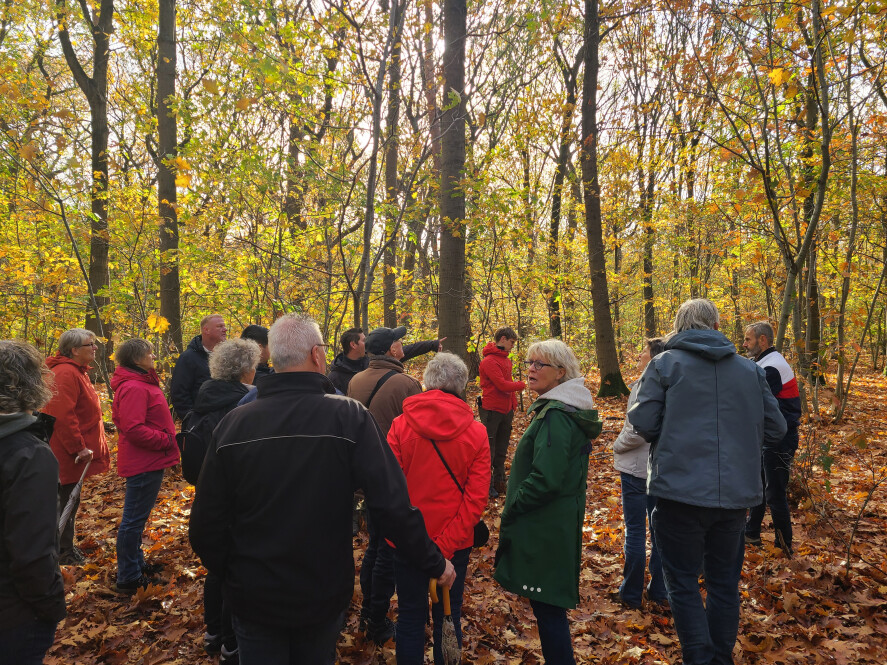 Tilburgsbos_herfst2025_9.jpg