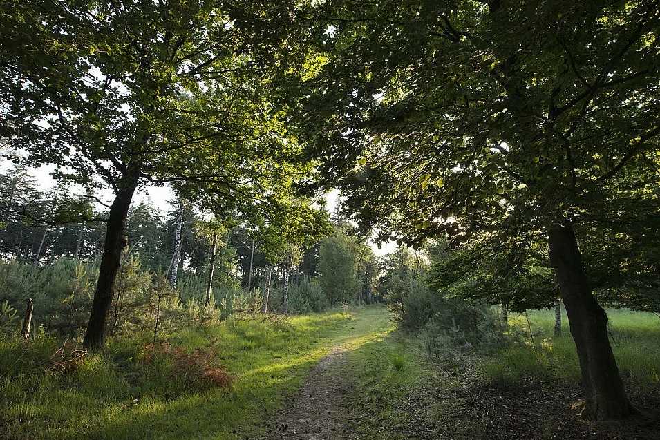 Landschapspark Pauwels.jpg