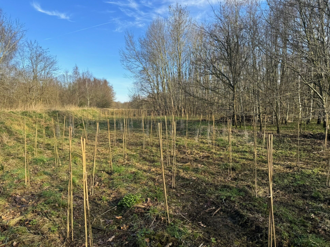 weijtmans_aanplant_tilburg.2.jpg