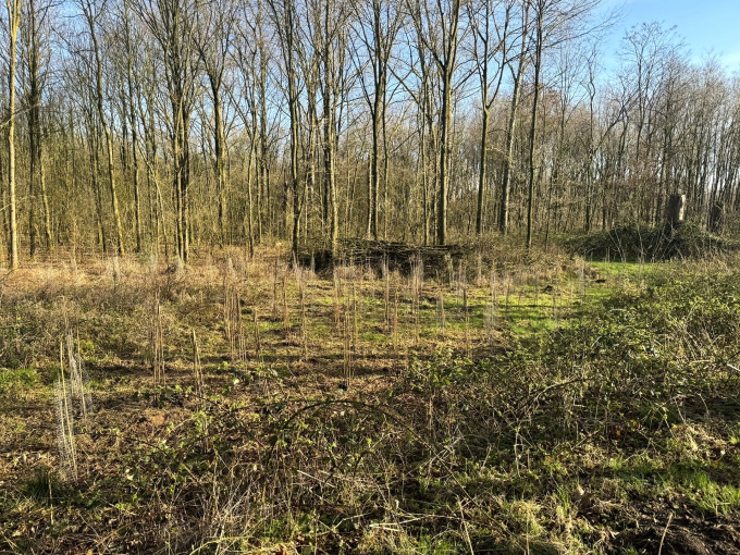 weijtmans_aanplant_tilburg.4.jpg