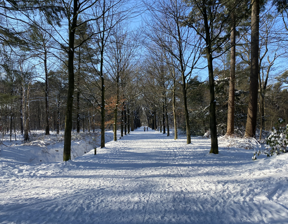 Winter in Tilburg - Foto 5