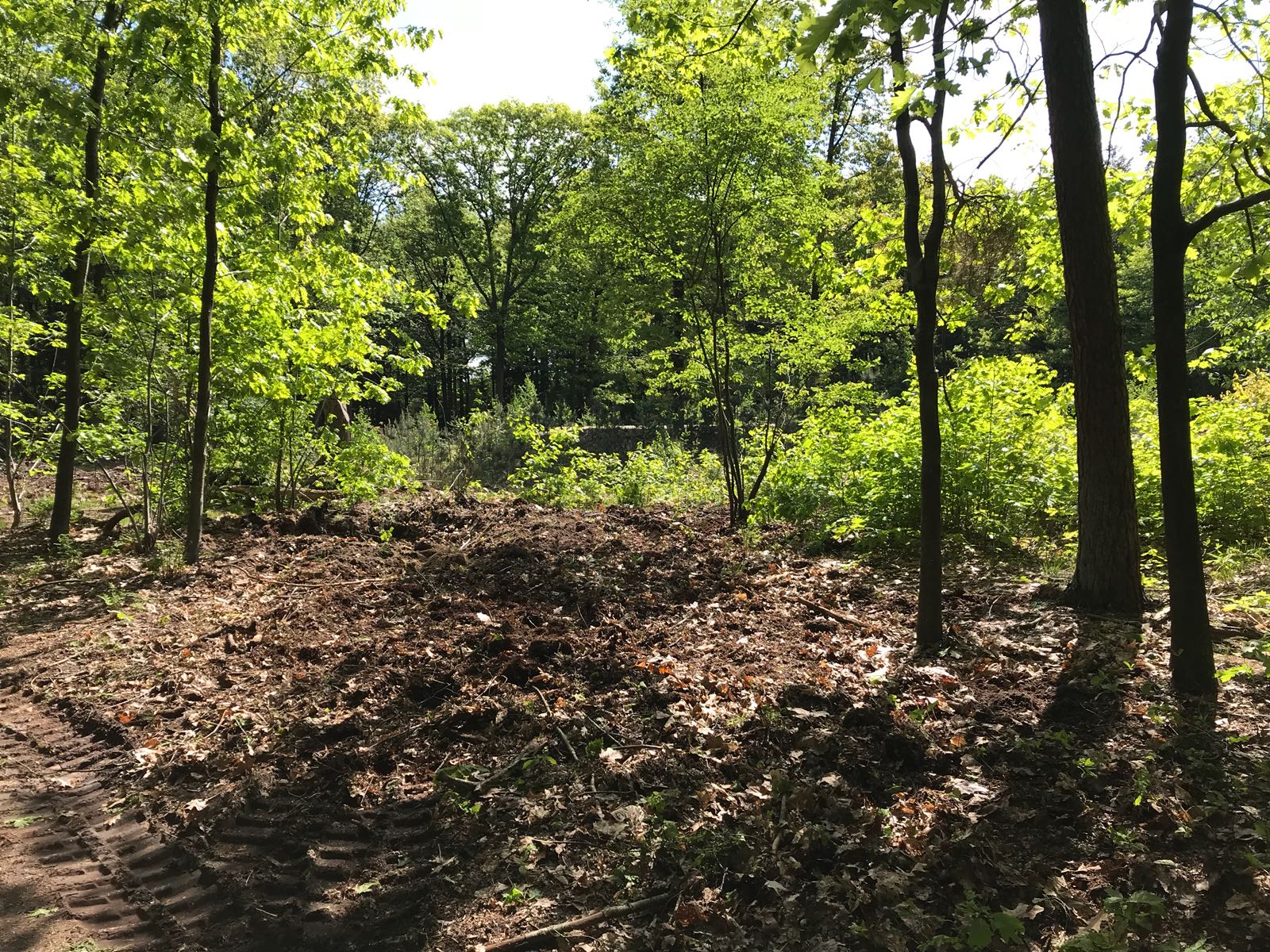 26 september Boscafe Reeshofbos