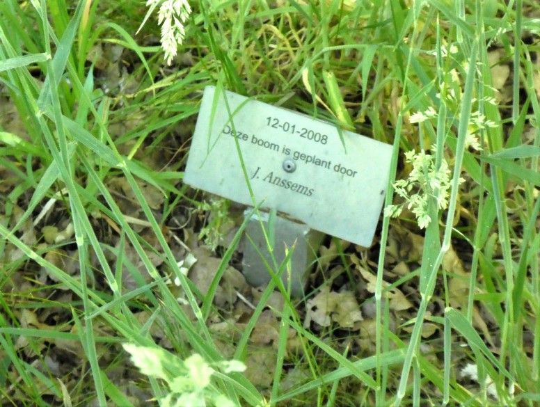 202109.Bleukbos.gedenkbordje.bij.aandachtsboom.jpg