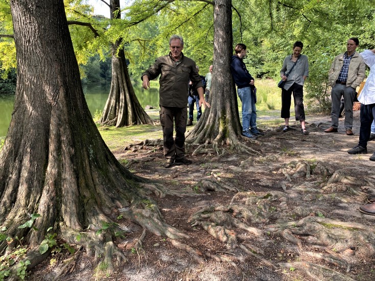 Boscafe’s zomerseizoen 2021 - Foto 11