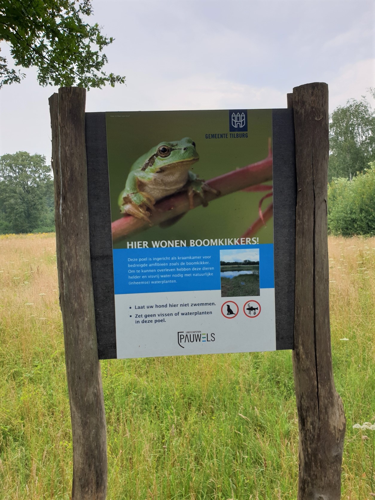 Boscafe’s zomerseizoen 2021 - Foto 14