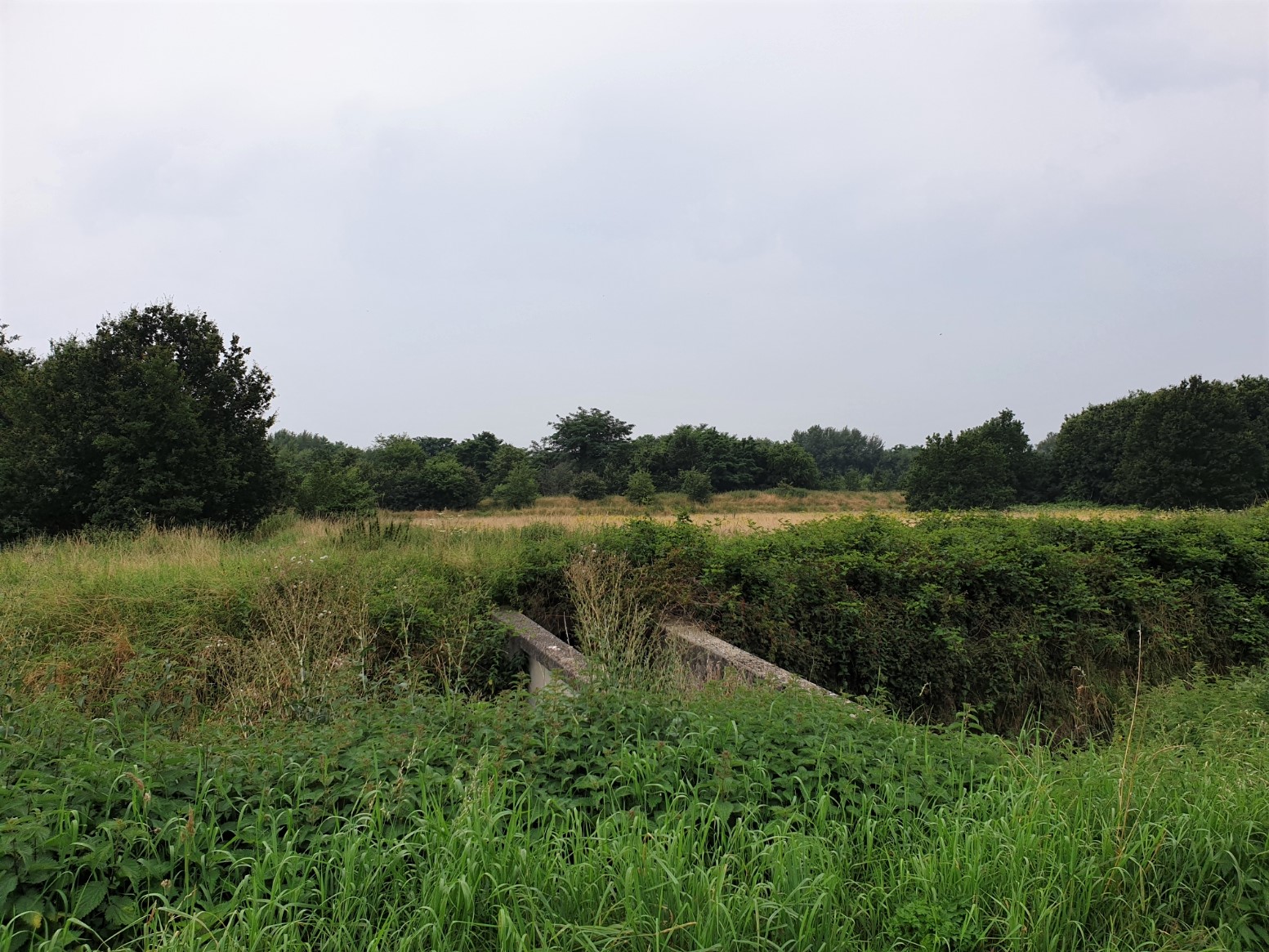 Boscafe’s zomerseizoen 2021 - Foto 18