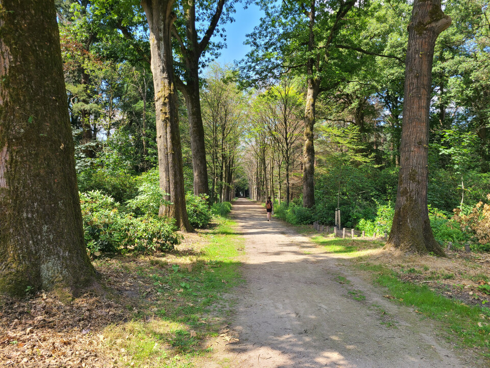 Kans op natuur- en bermbranden!
