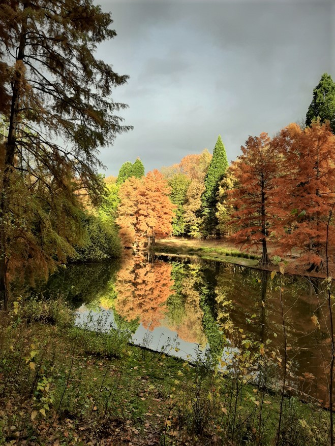 Wandelbos Tilburg Herfst RVH3.jpg