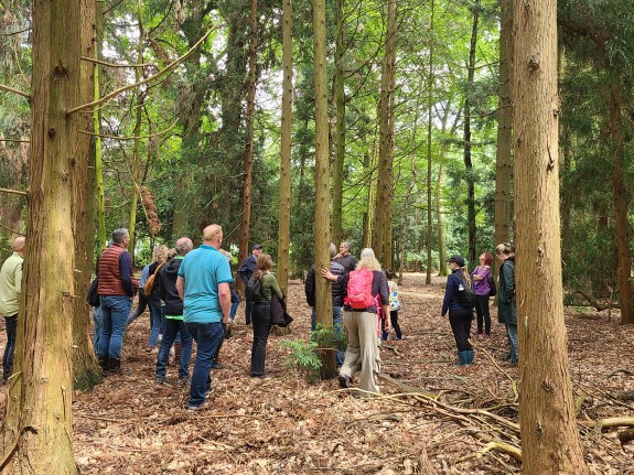 Tilburgsbos_stadsbosdag_wandelbos4.jpg