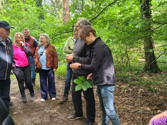 Tilburgsbos_stadsbosdag_wandelbos3.jpg