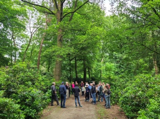Stadsbosdag woudreuzen wandelbos