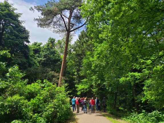 Tilburgsbos_stadsbosdag_wandelbos8.jpg