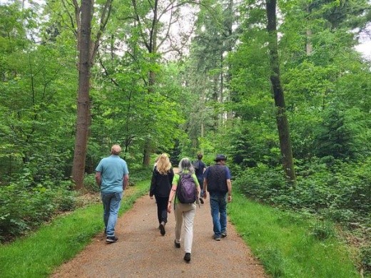 Bomen, beesten en bladeren: de Wandelbos safari.