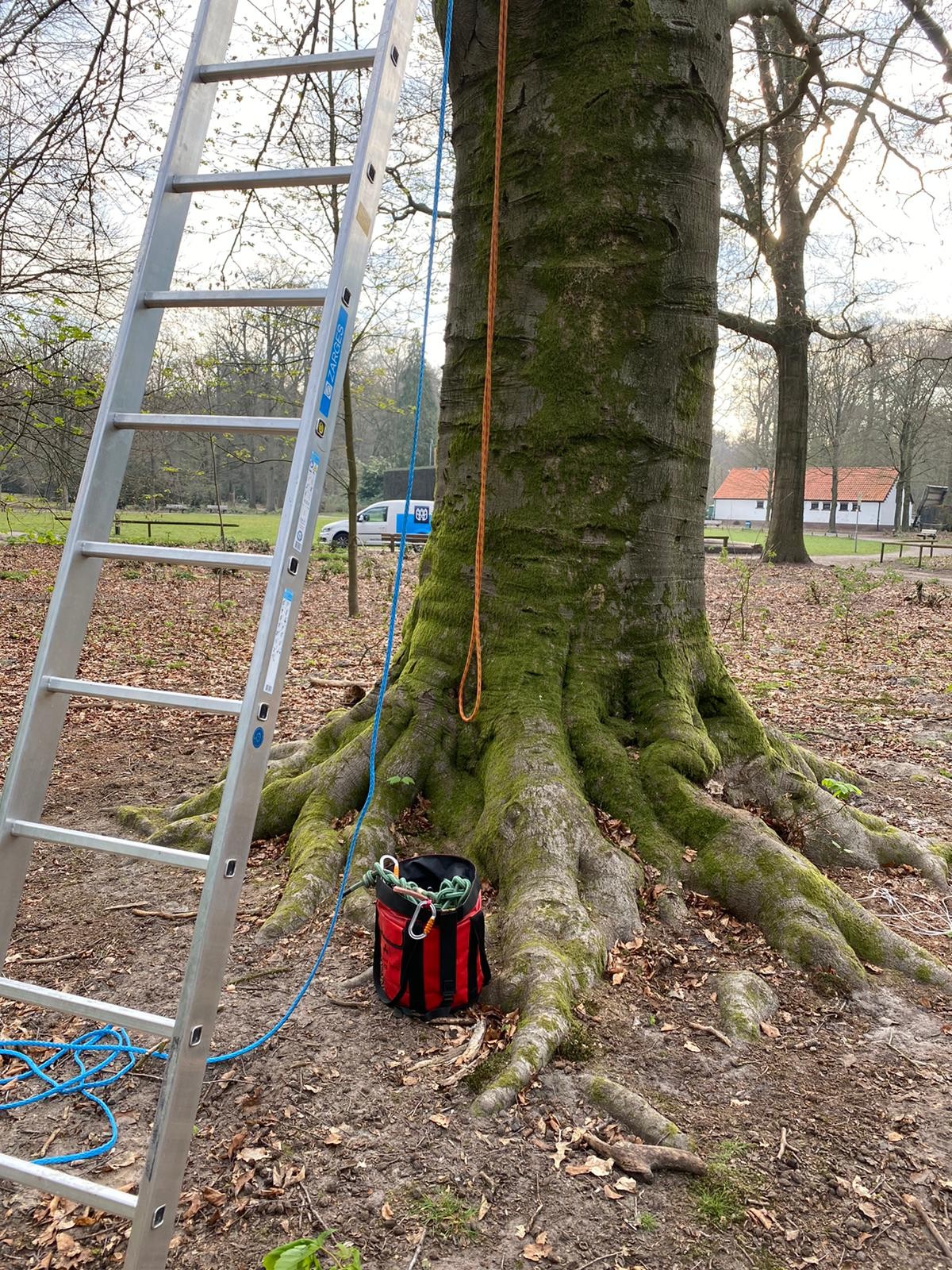 Boomtechnici aan het werk