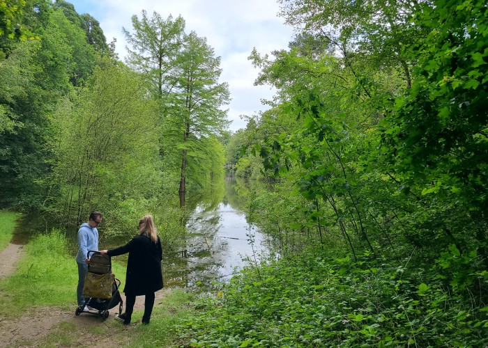 Wandelbos_Tilburg_hoge_waterstand.jpg